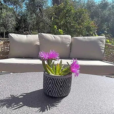 Nissi Collection Hotel Zakynthos