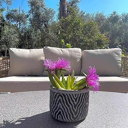 Nissi Collection Hotel Zakynthos